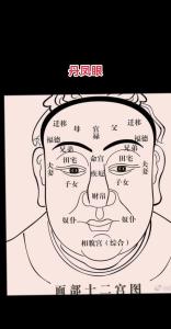面相大全圖解 男人丹鳳眼意味什么意思