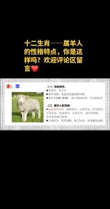 屬羊人有什么性格特點(diǎn)
