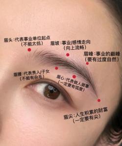 眉毛看你的命運吉兇