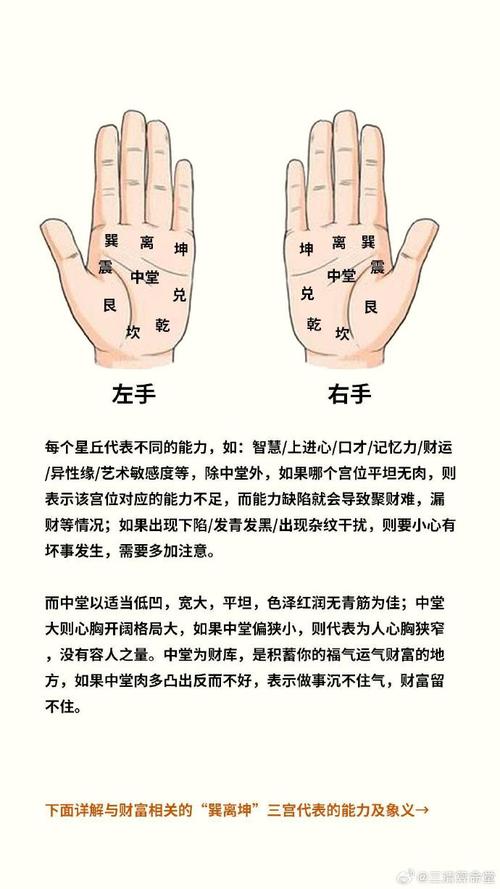 八字中如何從手相看身體狀況