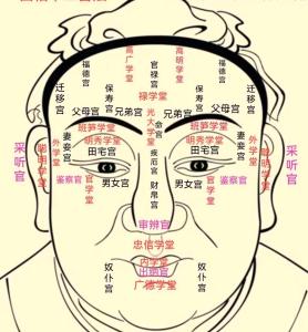 命里能容大財的面相 命門厚實承大財