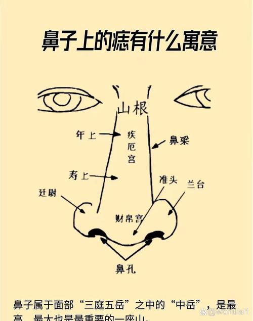 男人鼻子長痣面相圖 鼻子長痣的男人好不好