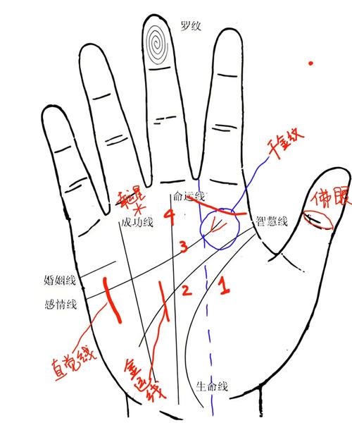 手紋線看相 手紋看相算命圖解