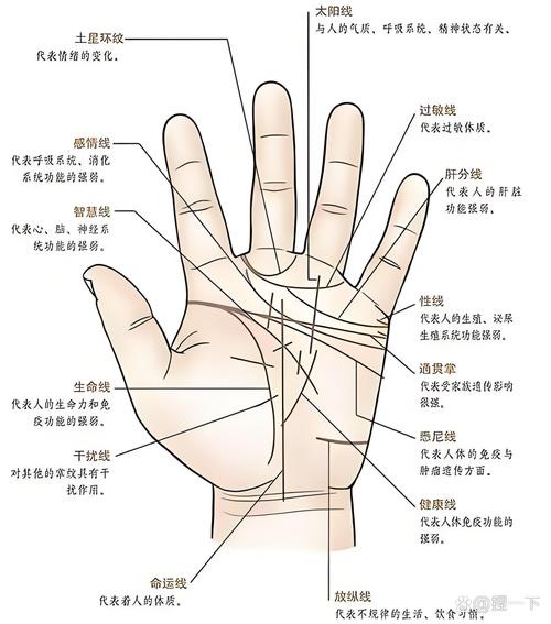 最富貴的12種手相特征 四種最具富貴命的手相女人大富大貴七種手相