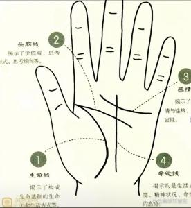 生命線很長代表什么