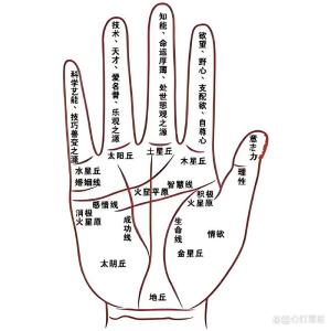 面相手相痣相圖解大全 手心長(zhǎng)痣位置圖解