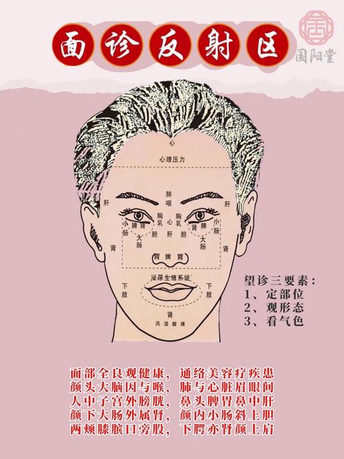 面相典籍指南：中醫(yī)如何望頭診病？