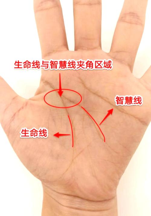 生命線存在橫線代表什么 生命線存在橫線是好是壞