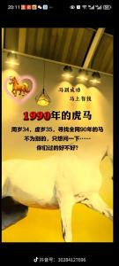90年屬馬人一生最難熬的年紀(jì) 1990屬馬一生三大劫