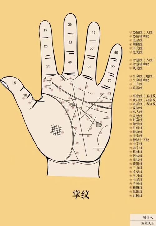 手相看財運：你有大富大貴的命嗎？