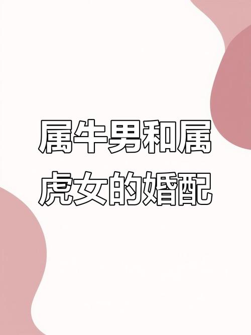 婆婆屬牛媳婦屬虎合不合得來的相處之道