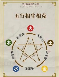 體相識人——五行形相