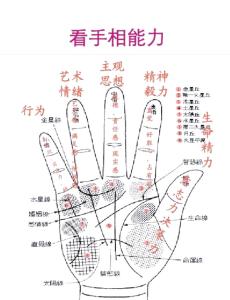 手紋多的手相好嗎