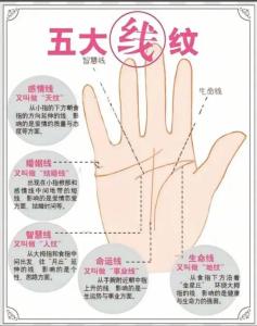 什么手相的女人最好命