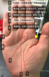 婚姻線分叉一定不好嗎