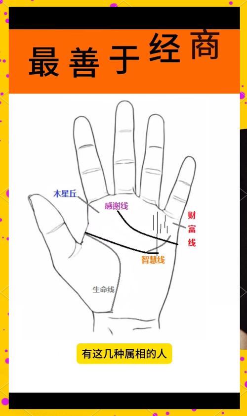 天生商人的手相 哪幾種手相的人天生適合經(jīng)商