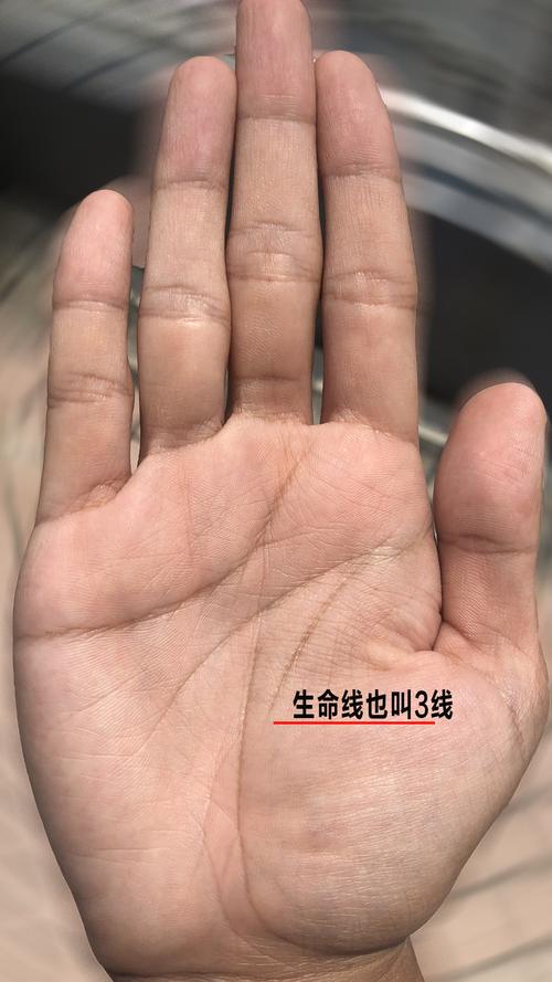 壽命短的人的手相有什么特征
