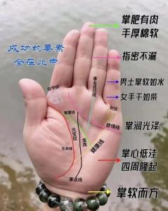 《手相學習百科》：手相看財運和好運