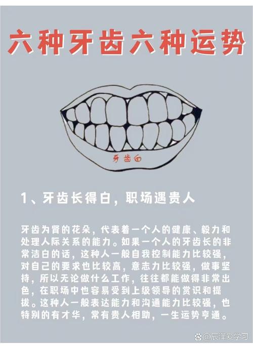 牙齒看相：從牙齒的形態(tài)看人的性格和命運(yùn)