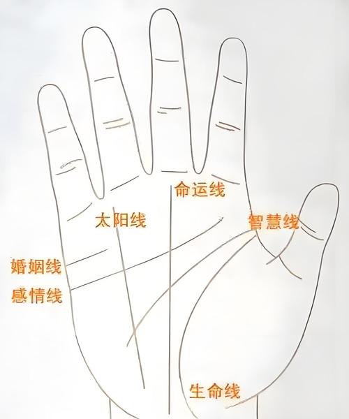 手相太陽線，太陽線圖解，手相太陽線算命圖解