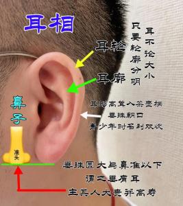 耳朵看相：耳朵大有福嗎