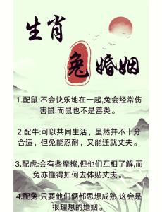 兔最忌諱的三個屬相 兔媳婦和馬婆婆合不合