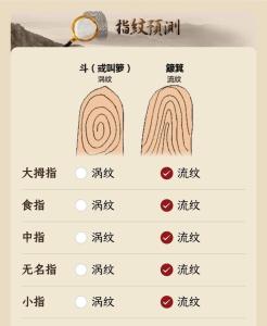 什么是籮紋和箕紋