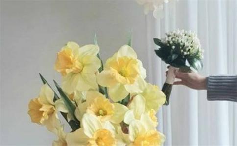 2026年農(nóng)歷三月十七是不是領(lǐng)證吉日 宜領(lǐng)證結(jié)婚吉日查詢