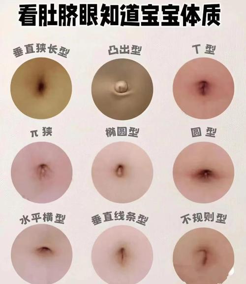 肚臍的相法，肚臍看你一生的命運