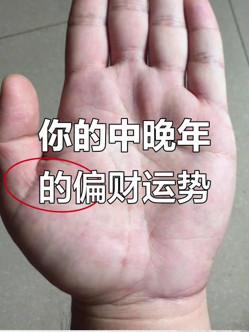 男人手相財運線