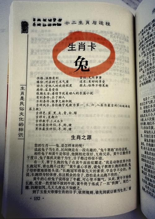 1999年屬兔人城頭土命婚姻 婚姻運勢如何