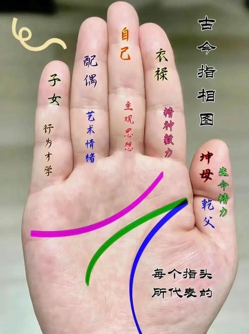你有名揚天下的手相嗎