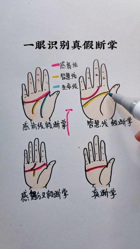 斷掌手相圖解
