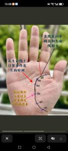 手小的女人命運如何