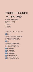 八卦命理：解讀十二地支之午