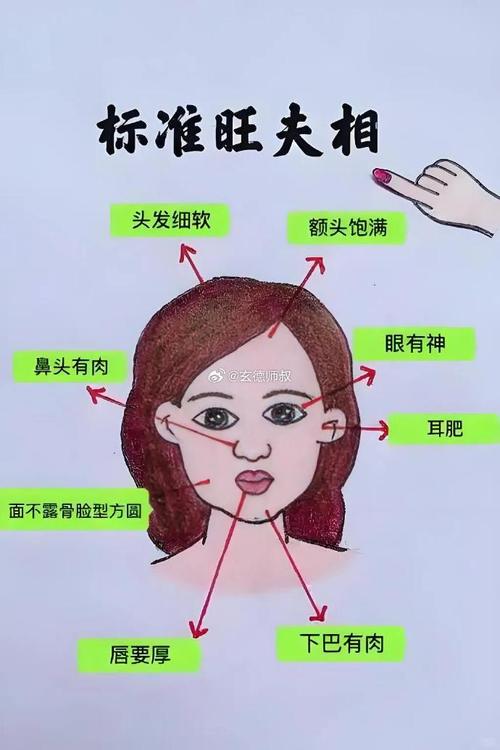 塌鼻子面相運(yùn)勢分析