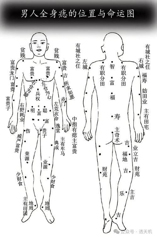 身體特征看男人的命運(yùn)