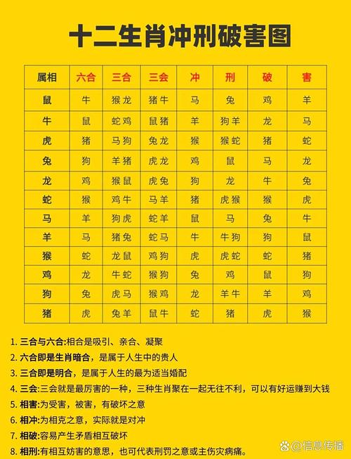 每日沖煞查詢 2024年8月19日沖什么屬相