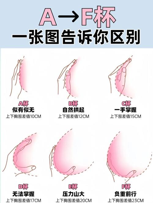 體相學中女人胸太大是“賤”嗎？什么樣的胸才算是好命