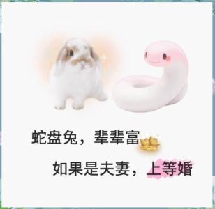 男兔女蛇不是蛇盤兔吧 男兔女蛇婚配都是斷頭婚嗎