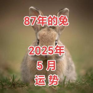 87年屬兔女在2025年的全年運勢及每月運勢 87年屬兔女在2025年的全年運勢