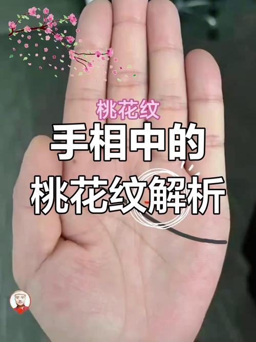 手相桃花紋啥樣圖解