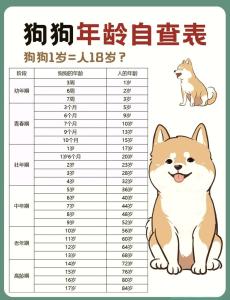 命理解析：2018年狗寶寶幾月出生最好