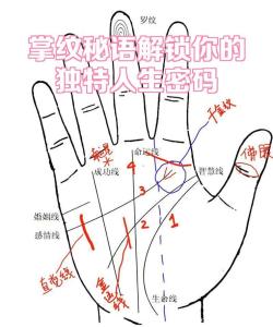手相生命線長(zhǎng)短含義
