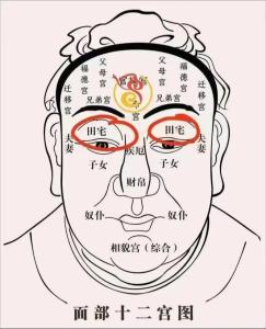 田宅宮痣分析圖富貴吉兇
