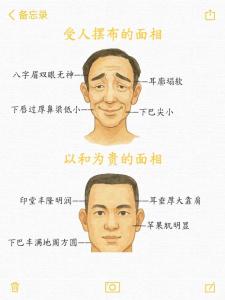 看懂這個(gè)你也會(huì)面相分析算命