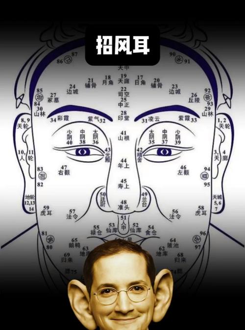 招風耳的女人命運 面相分析
