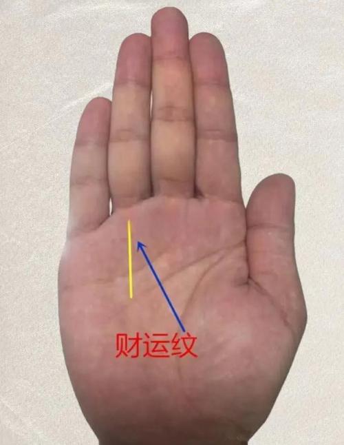真正大老板的手相錢(qián)財(cái)無(wú)憂(yōu)