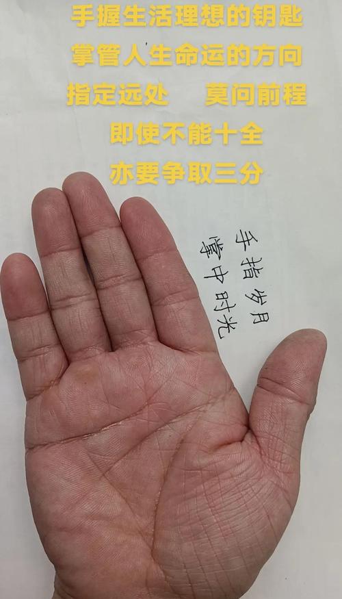 一絲不茍 這些手相的人做事認真