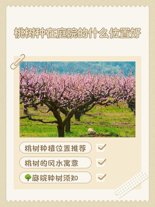 正對(duì)門口有棵桃樹好嗎 怎么判斷風(fēng)水意義